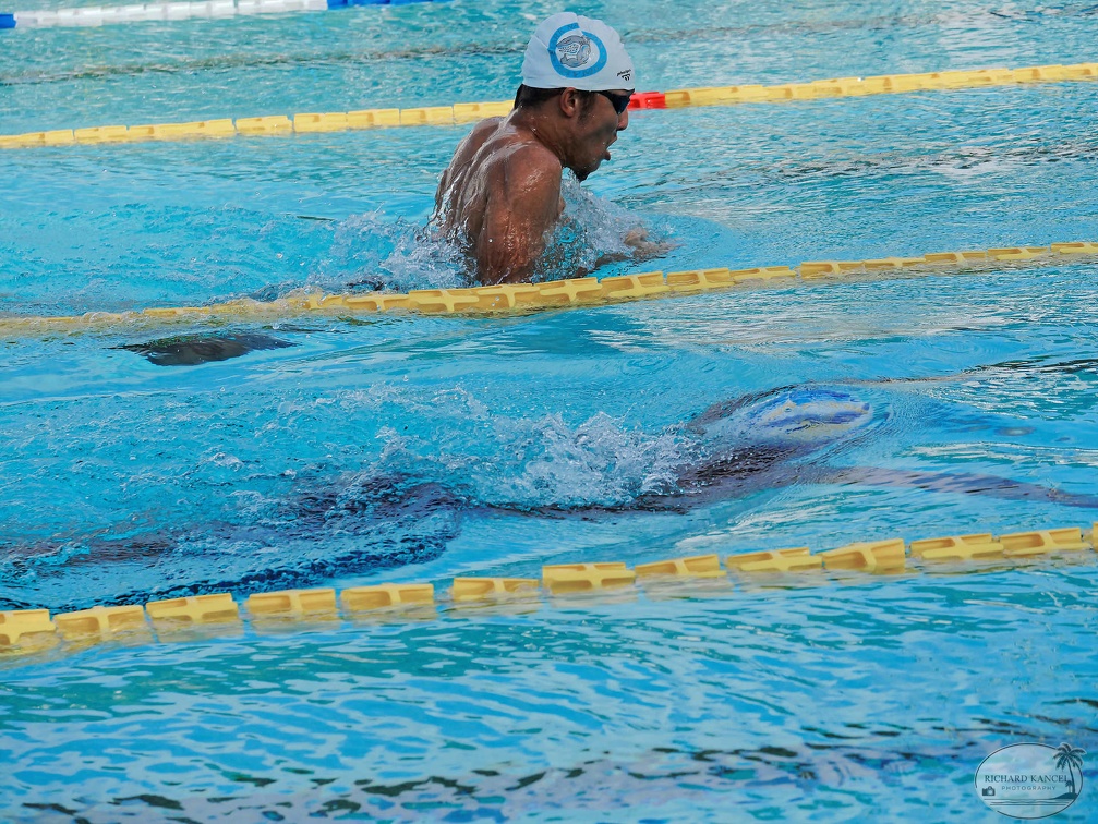 P1009111-shark.jpg