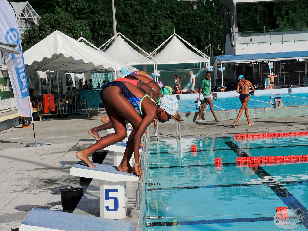 P1009134-shark.jpg