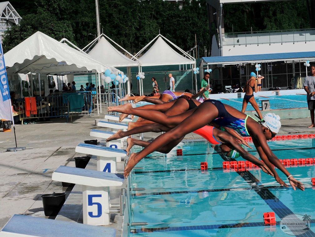 P1009137-shark.jpg