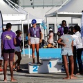 P1009194-shark.jpg