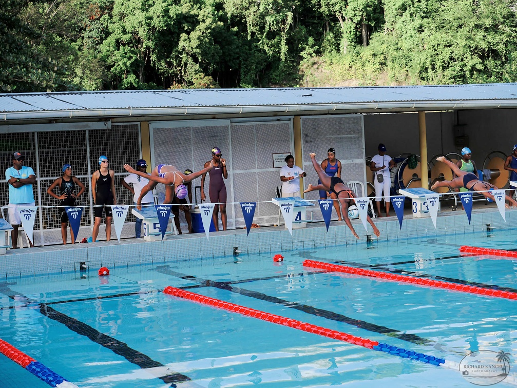 P1009269-shark.jpg