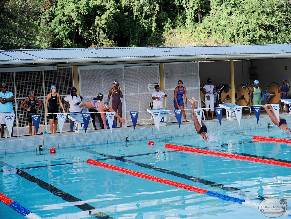 P1009271-shark.jpg