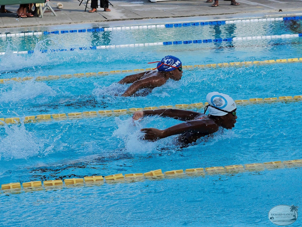 P1009286-shark.jpg