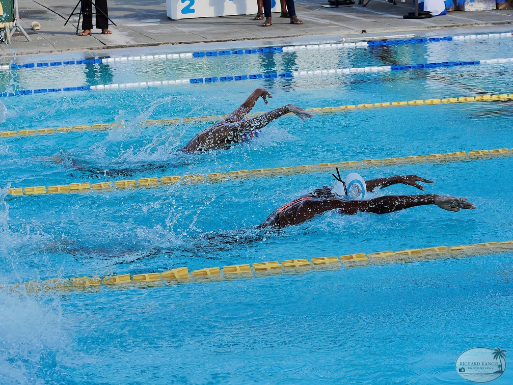 P1009288-shark.jpg