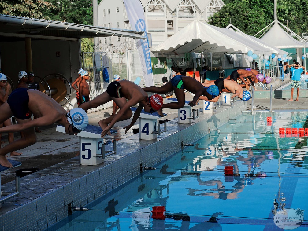 P1009295-shark.jpg