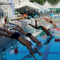P1009298-shark.jpg